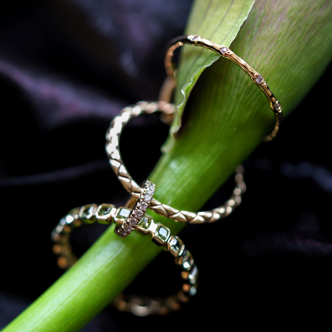 The Solid Gold Gemstone Eternity Stacking Ring, along with three other unique gold rings, is elegantly stacked on a green flower stem against a softly blurred dark background.