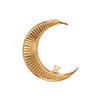 Elizabeth Stone-Crescent Moon