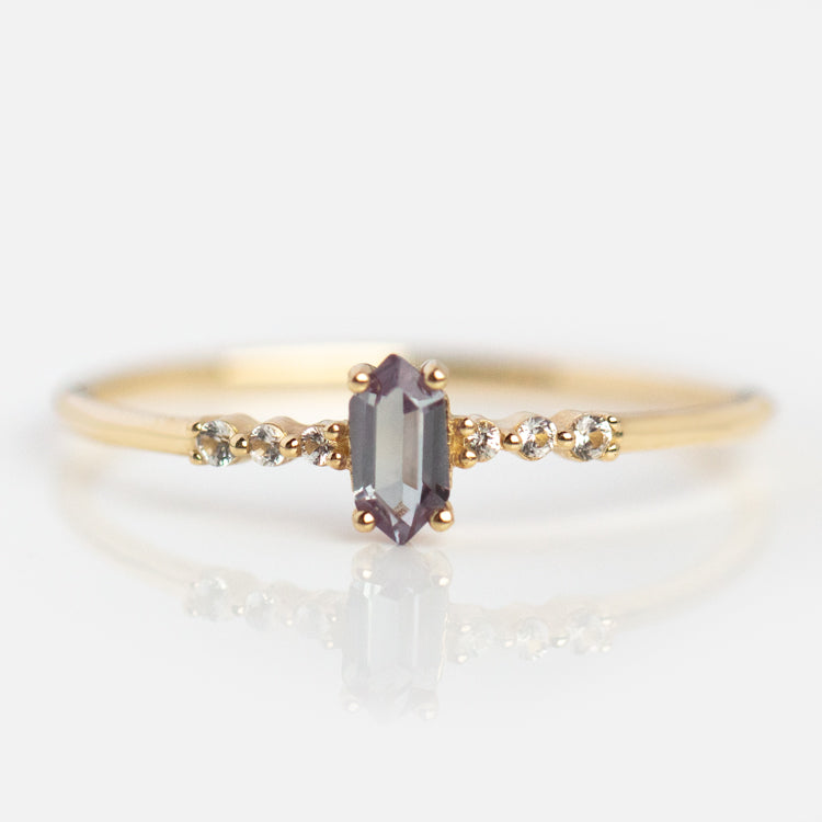 Solid Gold June Capsule Set with Free Gift