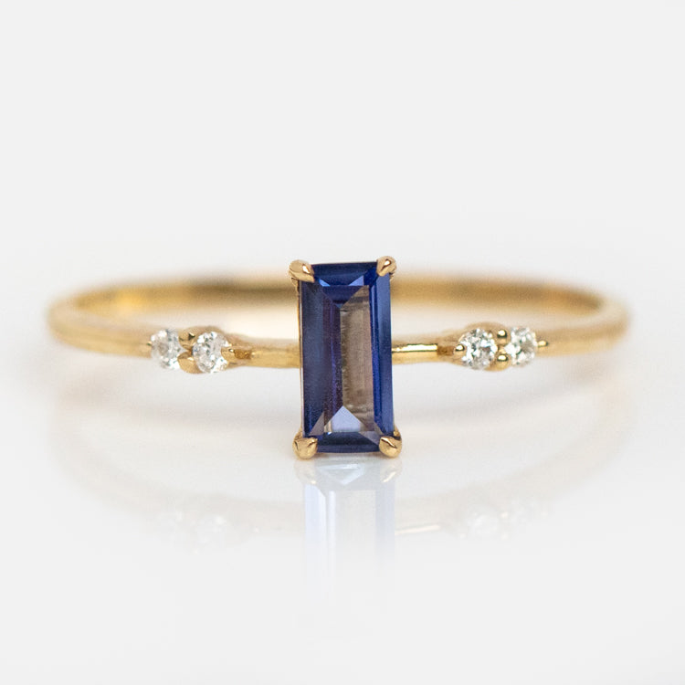 Solid Gold September Capsule Set with Free Gift