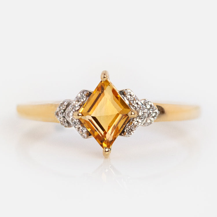 Solid Gold November Capsule Set with Free Gift