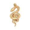 Nature-Snake