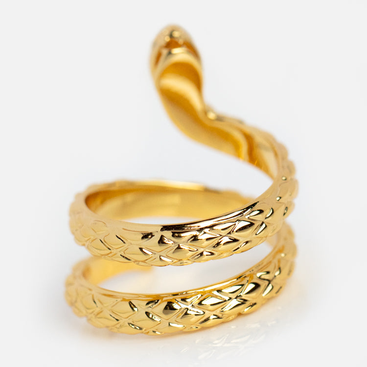 Wisdom Snake Spiral Ring