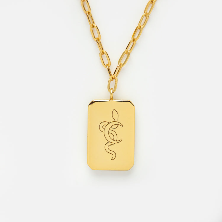 Awaken Turquoise Snake Necklace