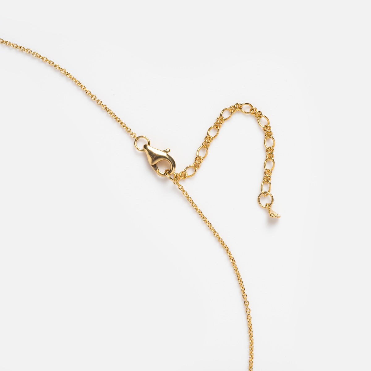 The Colorful Monogram Pendant features a delicate gold chain with a lobster clasp and adjustable extension, showcased on a white background.