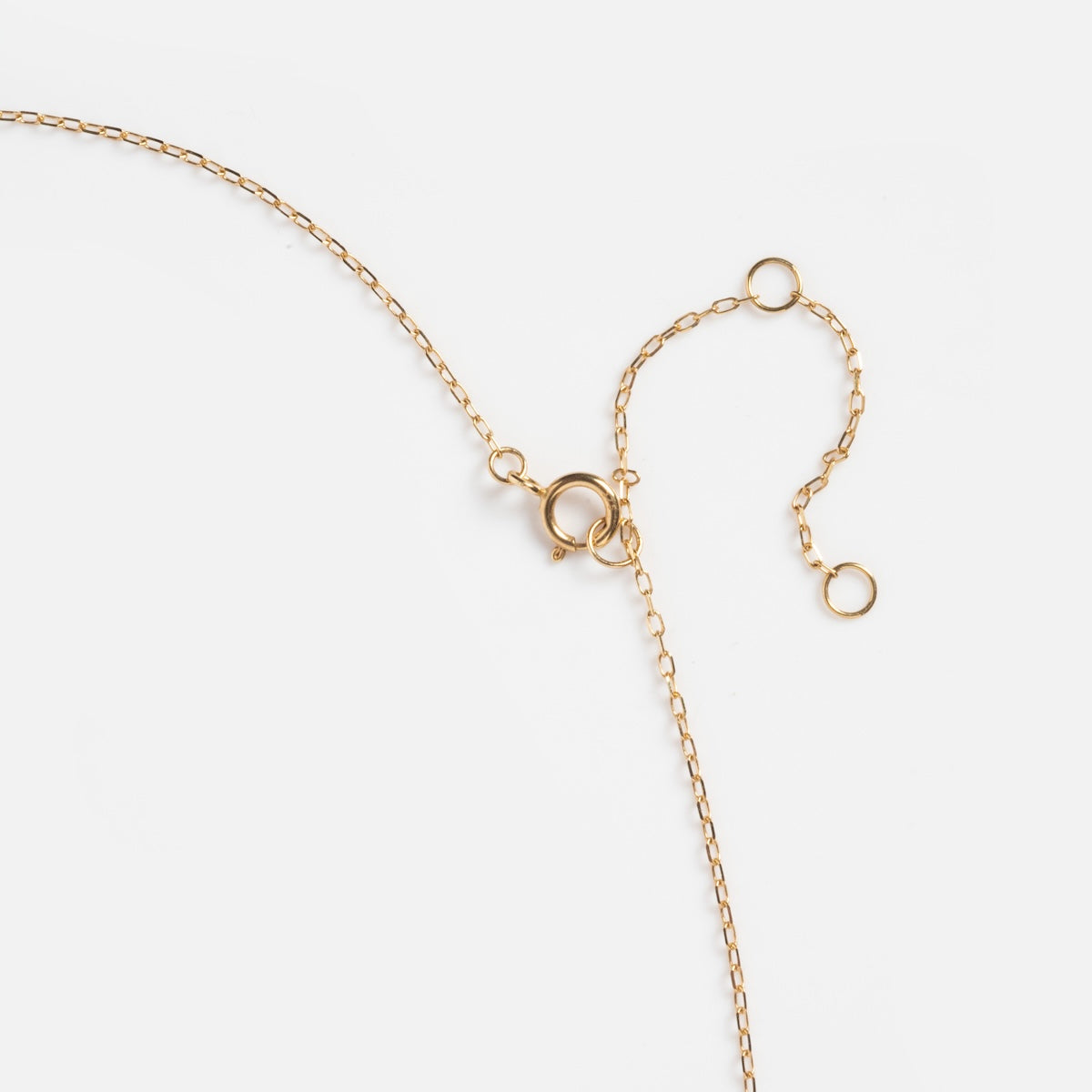 The Solid Gold 2025 July Capsule Classic Ruby Pendant Necklace features a delicate design with a spring ring clasp and two extra circular links for adjustable sizing, beautifully displayed on a white background.