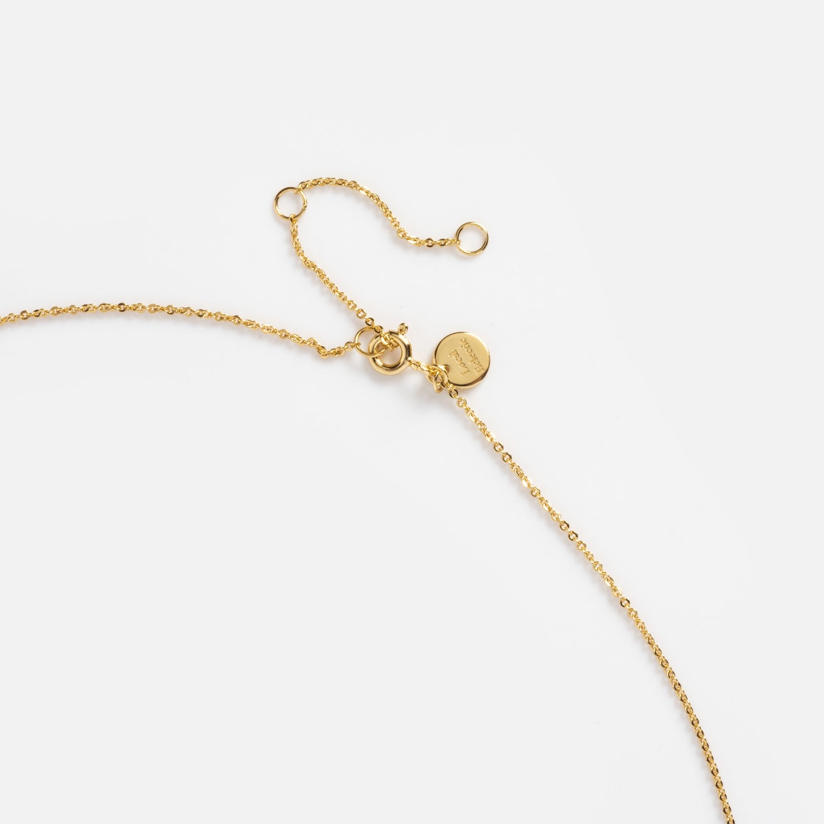 The Star Bright Necklace features a delicate gold chain with a small round tag, adjustable clasp, and a vivid red chalcedony charm, beautifully displayed on a white background.