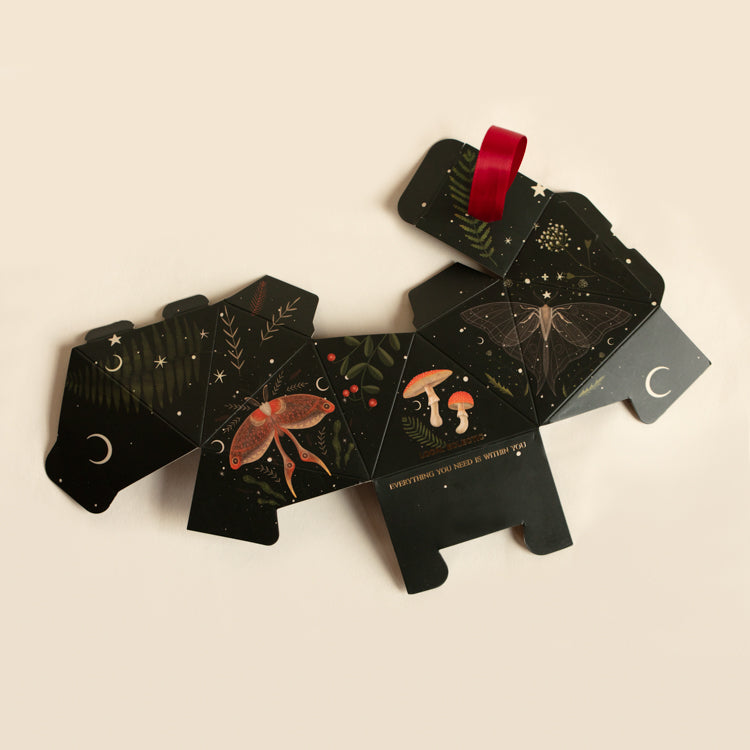 Holiday Ornament Gift Packaging