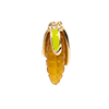 Food-Corn on the Cob