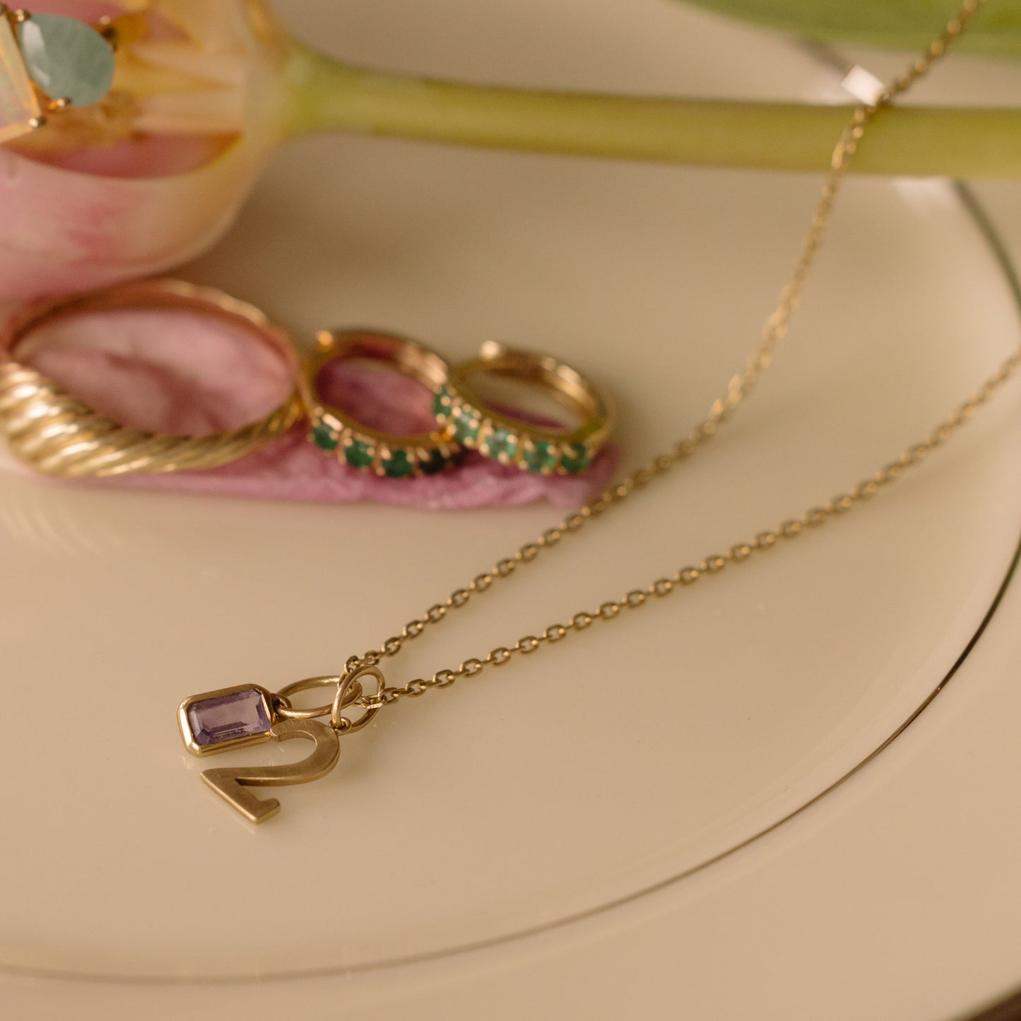 A Solid Gold Number Charm necklace with a purple gemstone pendant rests on a plate near two gold rings and a green-studded ring. A pink flower peeks out in the background.
