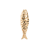 Nature-Fish