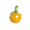 Satomi Studio-Sungold Cherry Tomato