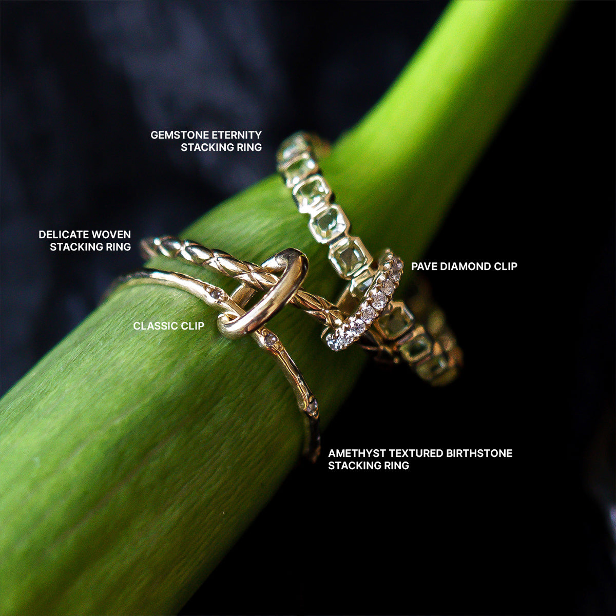 A close-up of five gold rings, including the Solid Gold Ring Clip, each with unique designs for a customizable ring stack, shown stacked on a green plant stem. Styles feature Gemstone Eternity, Delicate Woven, Pavé Diamond Clip, and Amethyst Textured Birthstone.