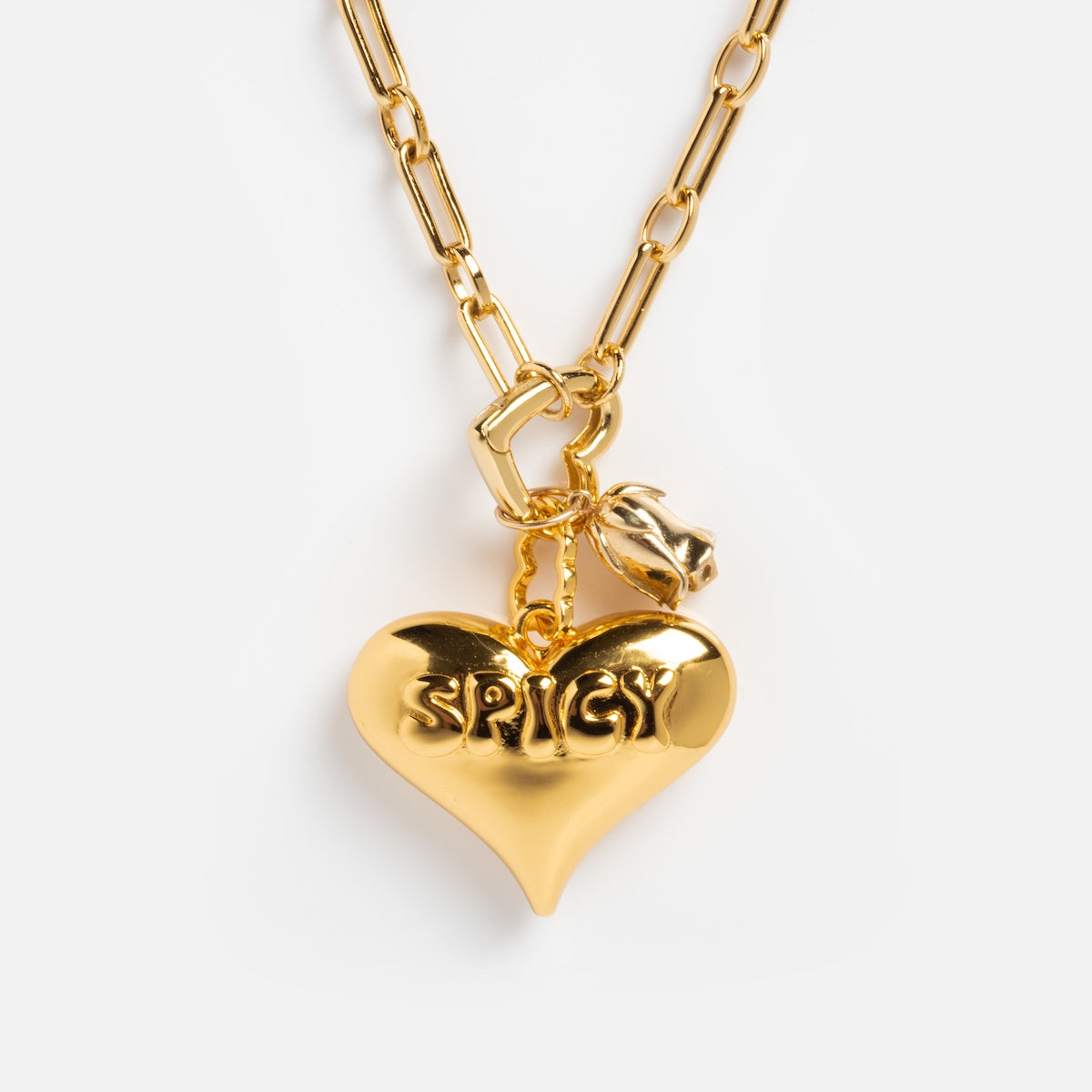 Perfect Start Charm Holder Necklace