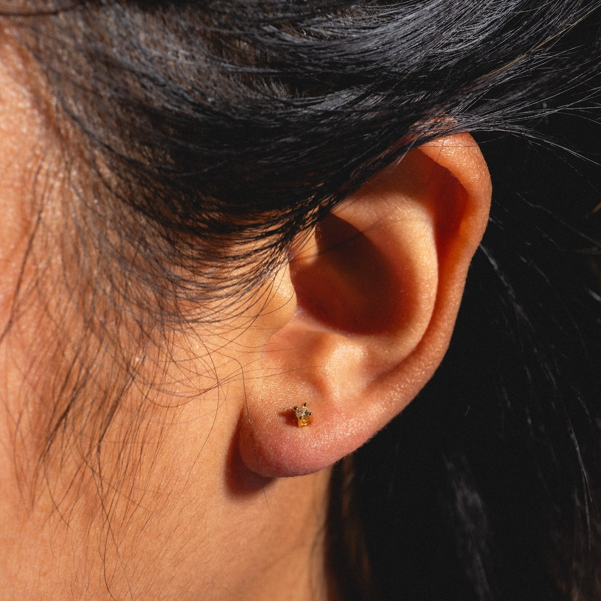 Close-up of a persons ear wearing Fabulous Studs, 14k gold plated earrings. The shine of the earring contrasts with their dark hair and highlighted skin texture.