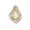 Warm Clay Co-Oyster