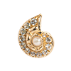 Nature-Nautilus Shell