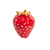 Satomi Studio-Wild Strawberry