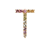 Pastel Letters-T