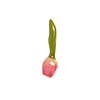 Warm Clay Co-Tulip