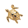 Nature-Turtle