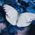 Solid Gold Nature Charm in White Gold-Butterfly