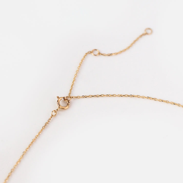 A close-up of the Solid Gold Salt and Pepper Diamond Pendant Necklace shows its delicate yellow gold chain with a spring ring clasp, lying on a white background—ideal for showcasing its unique pendant.