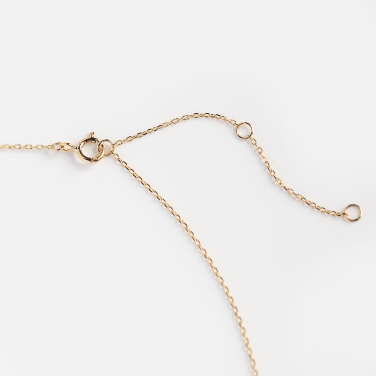 Solid Gold February Capsule Amethyst Kite Necklace
