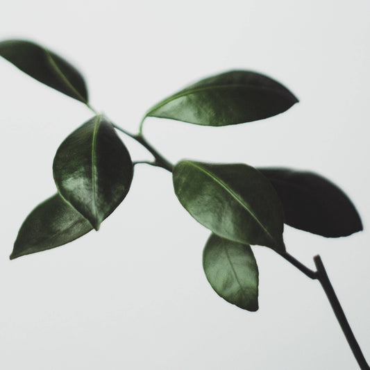 So Hot Right Now: Late Summer Edition