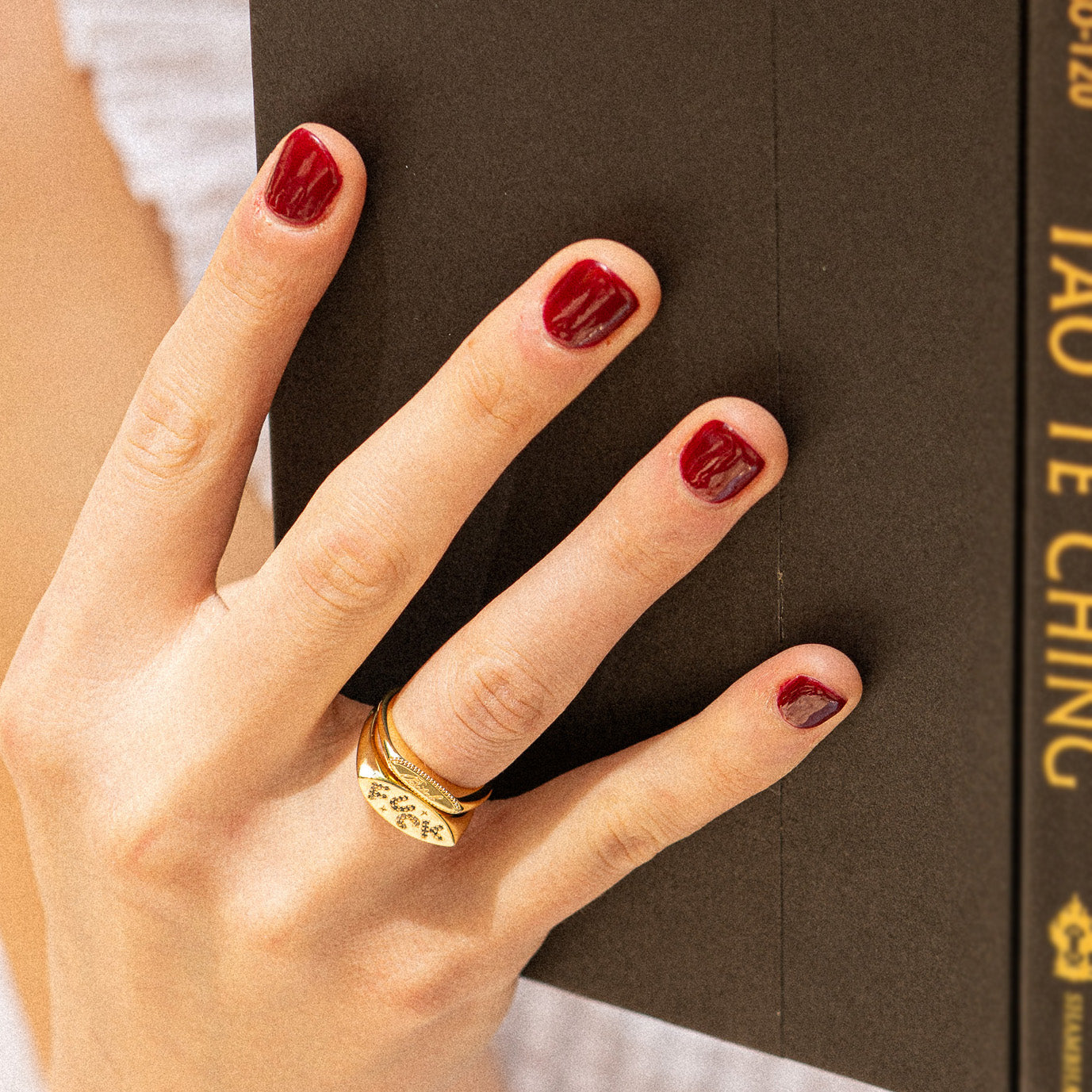 A hand with short, dark red nails and a Colorful Language Fuck Signet Ring holds a black Tao Te Ching book. The soft background highlights both the hand and cover, making the bold gold ring a colorful statement piece.
