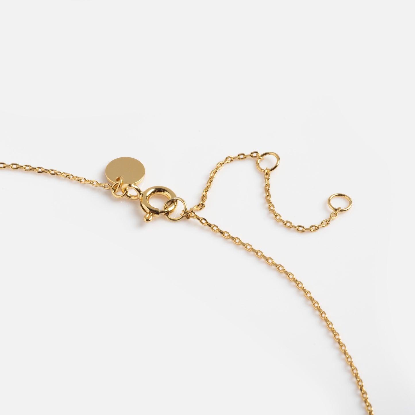 The Technicolor Gem Drop Necklace is a delicate gold chain with a round clasp, small circular tag, and adjustable loops for length, displayed on a white background.