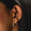 Close-up of a person’s ear with straight dark hair, wearing the Isla Hoops—elegant 18k yellow gold earrings adorned with small simulated diamonds. The neutral background is softly out of focus.