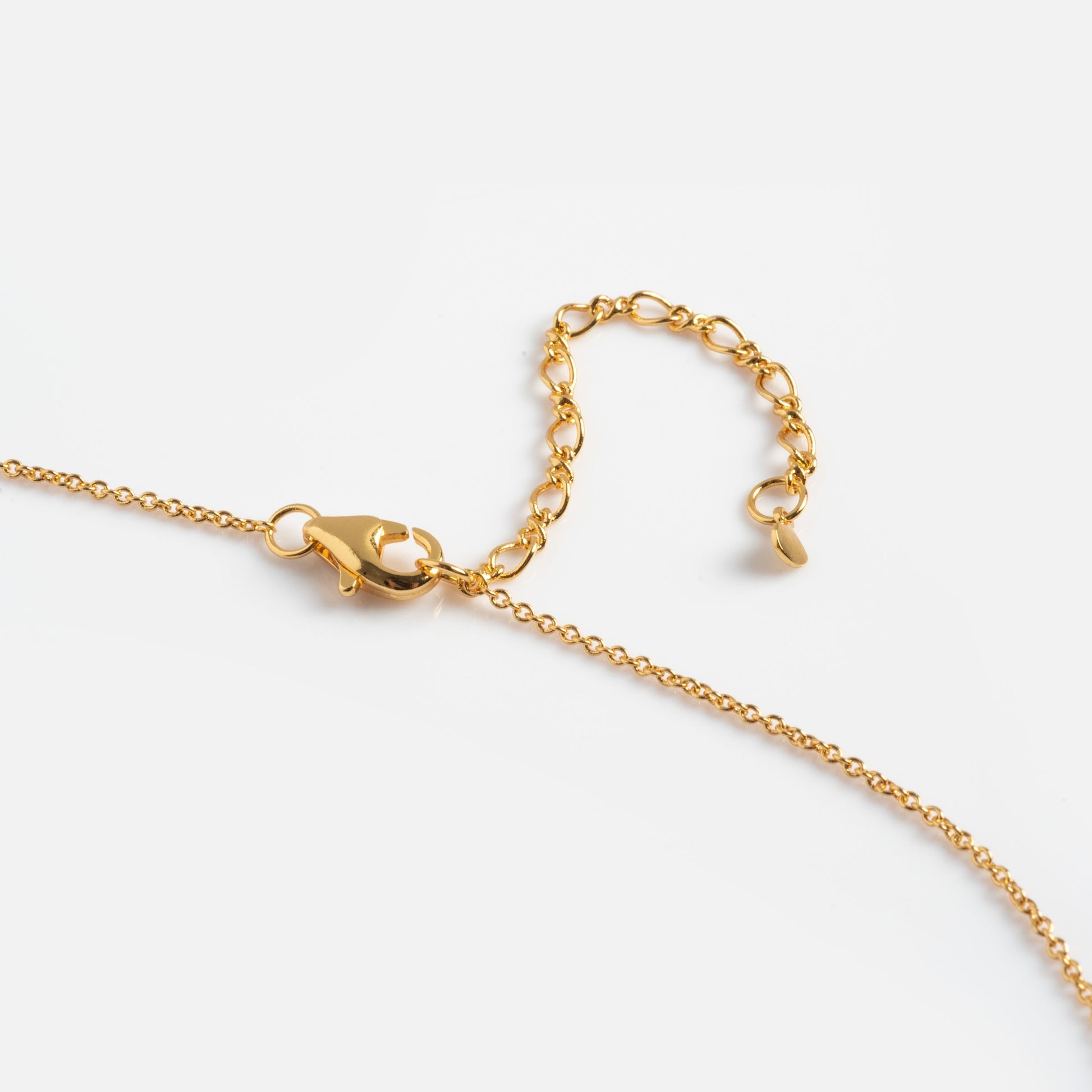 A close-up of the Abalone and Mother of Pearl Horizon Necklace with a lobster clasp, adjustable extension chain, and a shimmering mother of pearl accent, shown on a plain white background.
