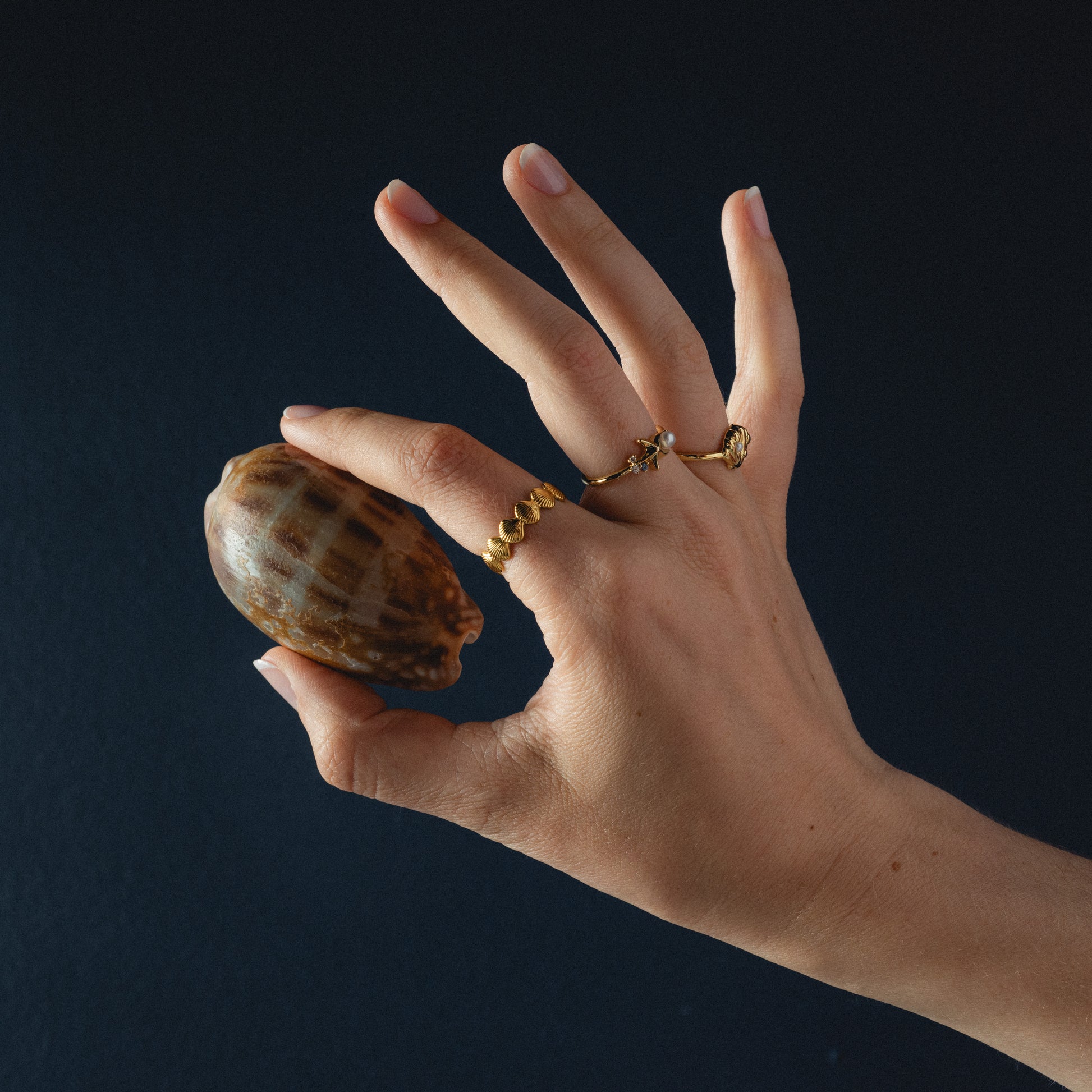Hand holding a shell with a gold ring on a dark background