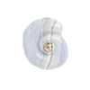Thatch-Nautilus Blue Lace Spiral Shell