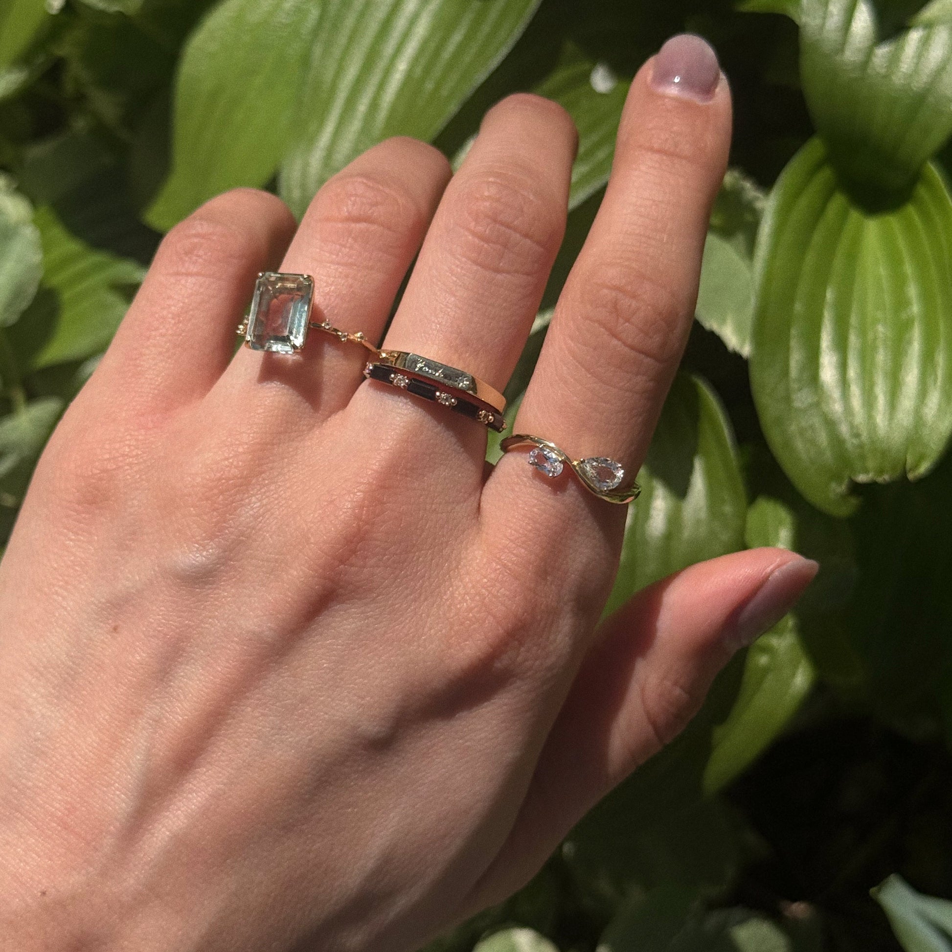 Hand wearing four rings with green leaves in the background