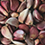 Charms by Satomi Studio-Garlic
