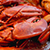 Solid Gold Under The Sea Charm-Lobster Claw