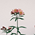 Luiny x Local Eclectic Charms-Flower