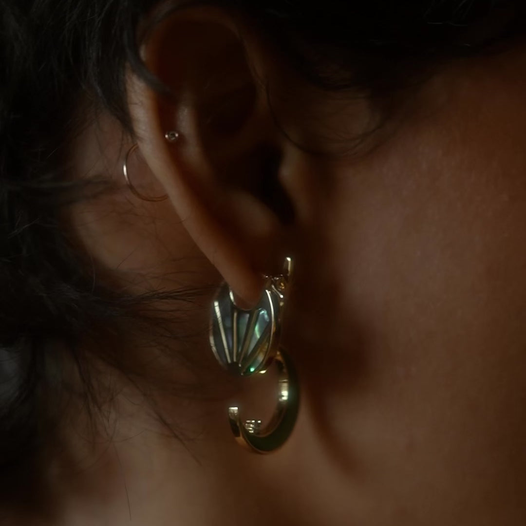 Abalone Hoop Earrings in Brown Abalone Hoop Earrings in Brown