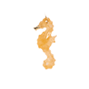 Solid Gold Under The Sea Charm-Seahorse