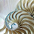 Charms by Thatch-Nautilus Blue Lace Spiral Shell