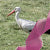 Solid Gold Celebration Charm-Pink Stork